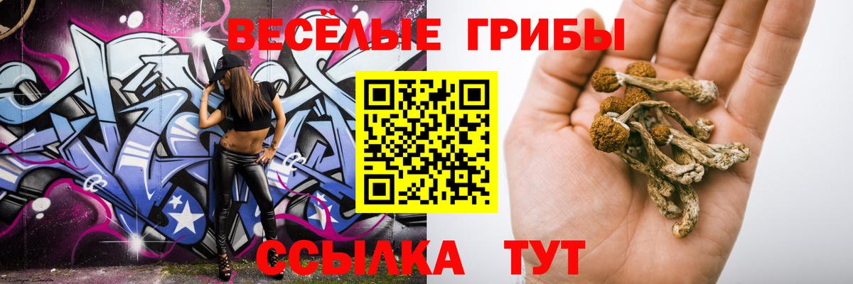 Псилоцибиновые грибы Magic Shrooms Димитровград