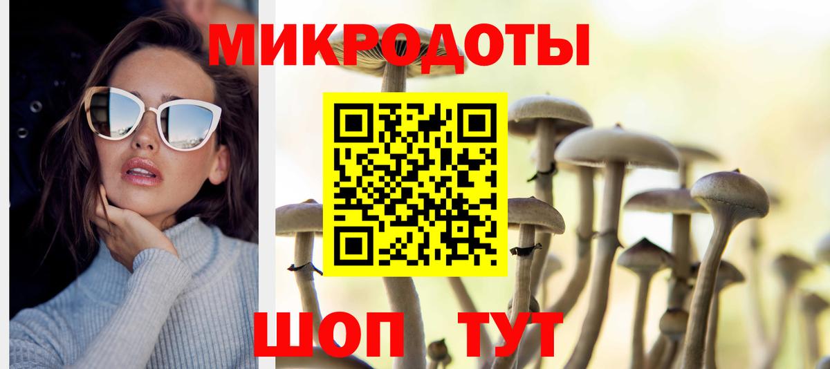 Галлюциногенные грибы MAGIC MUSHROOMS  купить закладку  Димитровград  Вход с VPN 